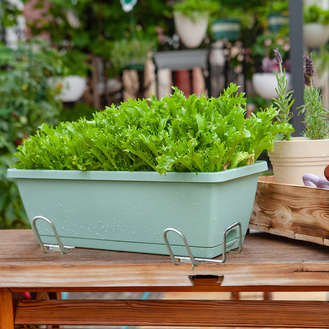 49.5cm Green Rectangular Planter Vegetable Herb Flower Outdoor Plastic Box with Holder Balcony Garden Decor Set of 4