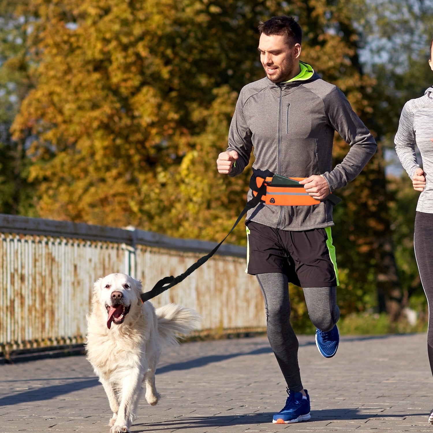 Soga Orange Adjustable Hands Free Pet Leash Bag Dog Lead Walking Running Jogging Pet Essentials