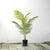 Soga 120cm Green Artificial Indoor Rogue Areca Palm Tree Fake Tropical Plant Home Office Decor