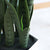 Soga 4 X 97cm Artificial Indoor Snake Sansevieria Plant Fake Decoration Tree Flower Pot
