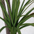 Soga 150cm Green Artificial Indoor Dragon Blood Tree Fake Plant Simulation Decorative