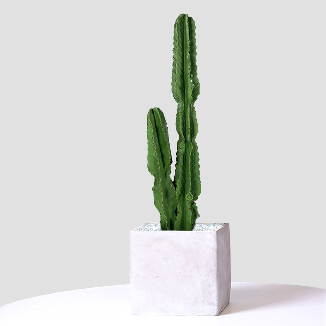 Soga 4 X 95cm Green Artificial Indoor Cactus Tree Fake Plant Simulation Decorative 2 Heads