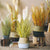 Soga 2 X 137cm Artificial Indoor Potted Reed Bulrush Grass Tree Fake Plant Simulation Decorative