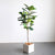 Soga 2 X 120cm Green Artificial Indoor Qin Yerong Tree Fake Plant Simulation Decorative