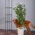 133cm 4-Bar Plant Frame Stand Trellis Vegetable Flower Herbs Outdoor Vine Support Garden Rack with Rings