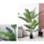 Soga 165cm Artificial Swallowtail Sunflower Fake Decoration Tree Flower Pot Plant