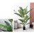 Soga 2 X 180cm Artificial Swallowtail Sunflower Fake Decoration Tree Flower Pot Plant
