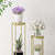 Soga 4 X 2 Layer 80cm Gold Metal Plant Stand Flower Pot Holder Corner Shelving Rack Indoor Display