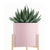 Soga 2 X 2 Layer 42cm Gold Metal Plant Stand With Pink Flower Pot Holder Corner Shelving Rack Indoor Display