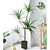 Soga 4 X 180cm Green Artificial Indoor Brazlian Iron Tree Fake Plant Decorative 4 Heads