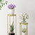 Soga 2 Layer 80cm Gold Metal Plant Stand Flower Pot Holder Corner Shelving Rack Indoor Display