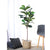 Soga 2 X 155cm Green Artificial Indoor Qin Yerong Tree Fake Plant Simulation Decorative