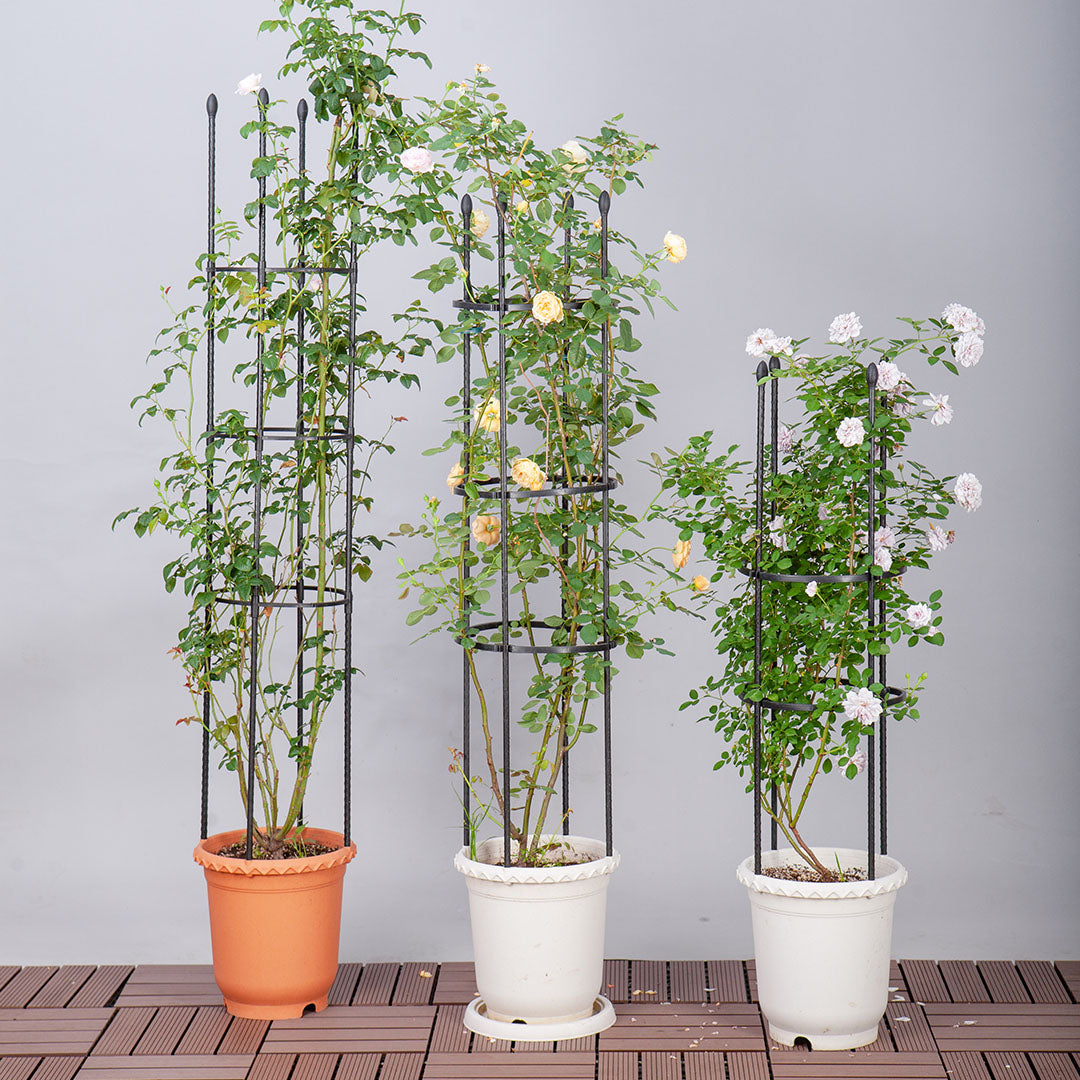 2X 133cm 4-Bar Plant Frame Stand Trellis Vegetable Flower Herbs Outdoor Vine Support Garden Rack with Rings