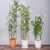2X 133cm 4-Bar Plant Frame Stand Trellis Vegetable Flower Herbs Outdoor Vine Support Garden Rack with Rings