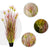 Soga 150cm Purple Red Artificial Indoor Potted Papyrus Plant Tree Fake Simulation Decorative