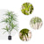 Soga 2 X 120cm Artificial Natural Green Dracaena Dragon Tree Fake Tropical Indoor Plant Home Office Decor