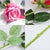 Soga 20pcs Artificial Silk Flower Fake Rose Bouquet Table Decor Pink