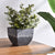 Soga 2 X 27cm Weathered Grey Square Resin Plant Flower Pot In Cement Pattern Planter Cachepot For Indoor Home Office