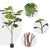 Soga 4 X 180cm Artificial Natural Green Split Leaf Philodendron Tree Fake Tropical Indoor Plant Home Office Decor