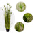 Soga 4 X 150cm Green Artificial Indoor Potted Papyrus Plant Tree Fake Simulation Decorative