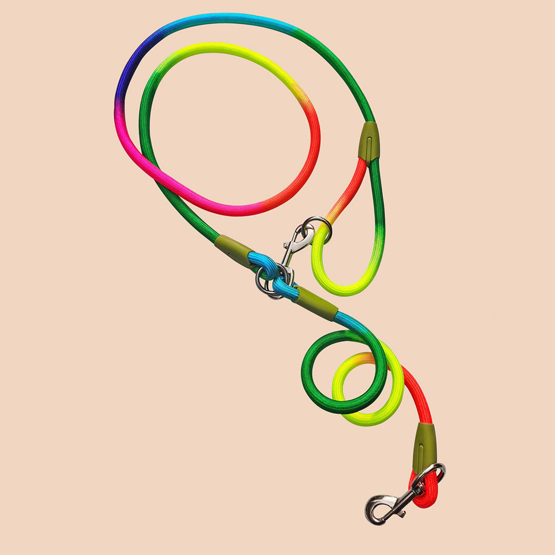 Soga 220cm Multifunction Hands Free Rope Pet Cat Dog Puppy Double Ended Leash For Walking Training Tracking Obedience Rainbow