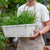 49.5cm White Rectangular Planter Vegetable Herb Flower Outdoor Plastic Box with Holder Balcony Garden Decor Set of 4