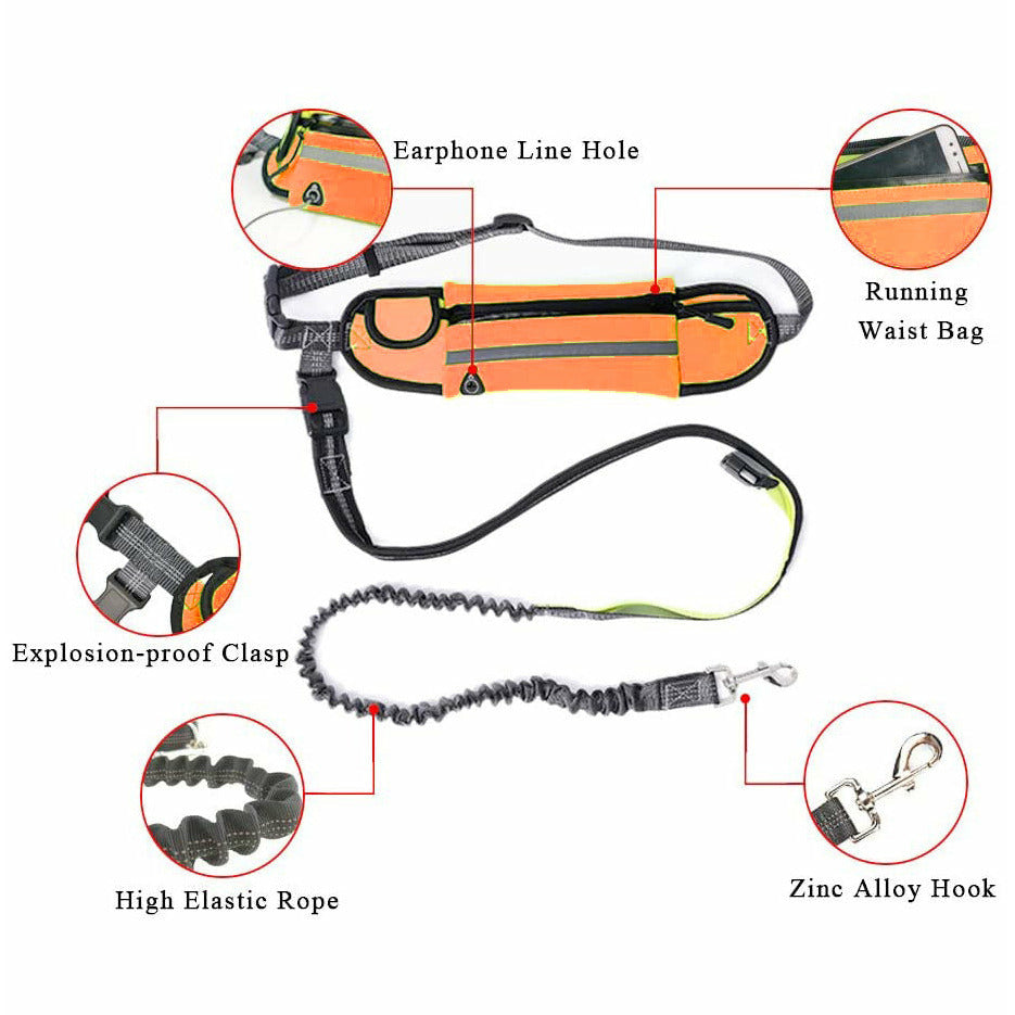 Soga Orange Adjustable Hands Free Pet Leash Bag Dog Lead Walking Running Jogging Pet Essentials