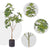 Soga 4 X 160cm Artificial Natural Green Schefflera Dwarf Umbrella Tree Fake Tropical Indoor Plant Home Office Decor