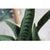 Soga 2 X 97cm Artificial Indoor Snake Sansevieria Plant Fake Decoration Tree Flower Pot