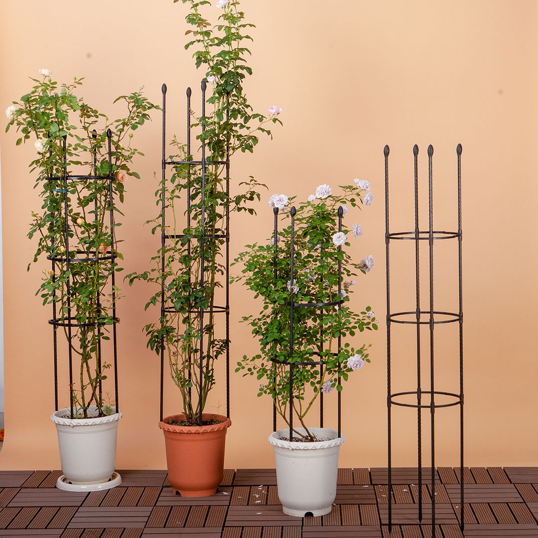 163cm 4-Bar Plant Frame Stand Trellis Vegetable Flower Herbs Outdoor Vine Support Garden Rack with Rings