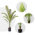 Soga 2 X 160cm Green Artificial Indoor Rogue Areca Palm Tree Fake Tropical Plant Home Office Decor