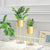 Soga 2 X 75cm Gold Metal Plant Stand With Flower Pot Holder Corner Shelving Rack Indoor Display