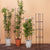2X 133cm 4-Bar Plant Frame Stand Trellis Vegetable Flower Herbs Outdoor Vine Support Garden Rack with Rings