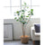 Soga 150cm Green Artificial Indoor Pocket Money Tree Fake Plant Simulation Decorative