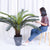 Soga 2 X 125cm Artificial Indoor Cycas Revoluta Cycad Sago Palm Fake Decoration Tree Pot Plant