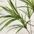 Soga 4 X 145cm Green Artificial Indoor Dragon Blood Tree Fake Plant Decorative