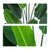 Soga 2 X 180cm Green Artificial Indoor Nordic Wind Traveller Banana Plant Fake Decorative Tree