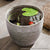 Soga 27cm Rock Grey Round Resin Plant Flower Pot In Cement Pattern Planter Cachepot For Indoor Home Office