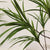 Soga 2 X 150cm Green Artificial Indoor Dragon Blood Tree Fake Plant Simulation Decorative