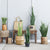 Soga 4 X 97cm Artificial Indoor Snake Sansevieria Plant Fake Decoration Tree Flower Pot