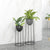 Soga 50cm Round Wire Metal Flower Pot Stand With Black Flowerpot Holder Rack Display