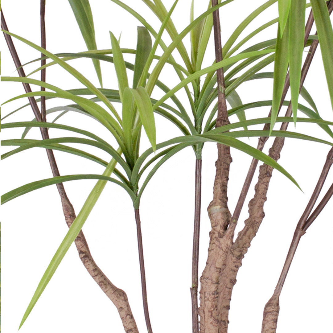 Soga 2 X 90cm Artificial Natural Green Dracaena Dragon Tree Fake Tropical Indoor Plant Home Office Decor