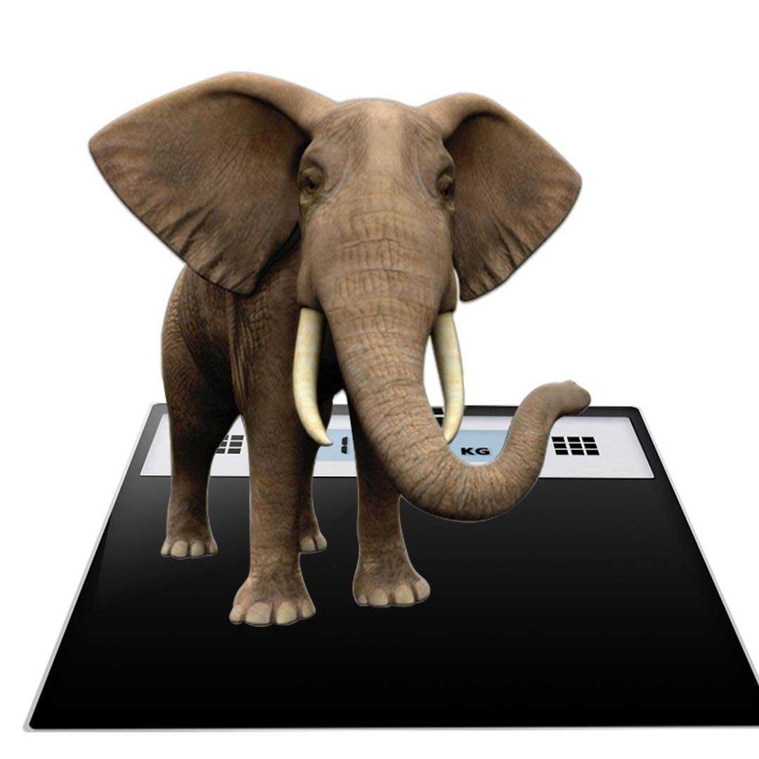 Soga 180kg Electronic Talking Scale Weight Fitness Glass Bathroom Scale Lcd Display Stainless