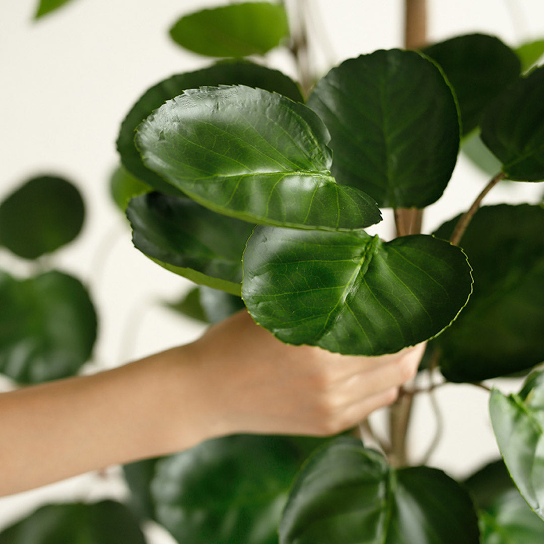 Soga 150cm Green Artificial Indoor Pocket Money Tree Fake Plant Simulation Decorative