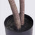Soga 4 X 145cm Green Artificial Indoor Dragon Blood Tree Fake Plant Decorative