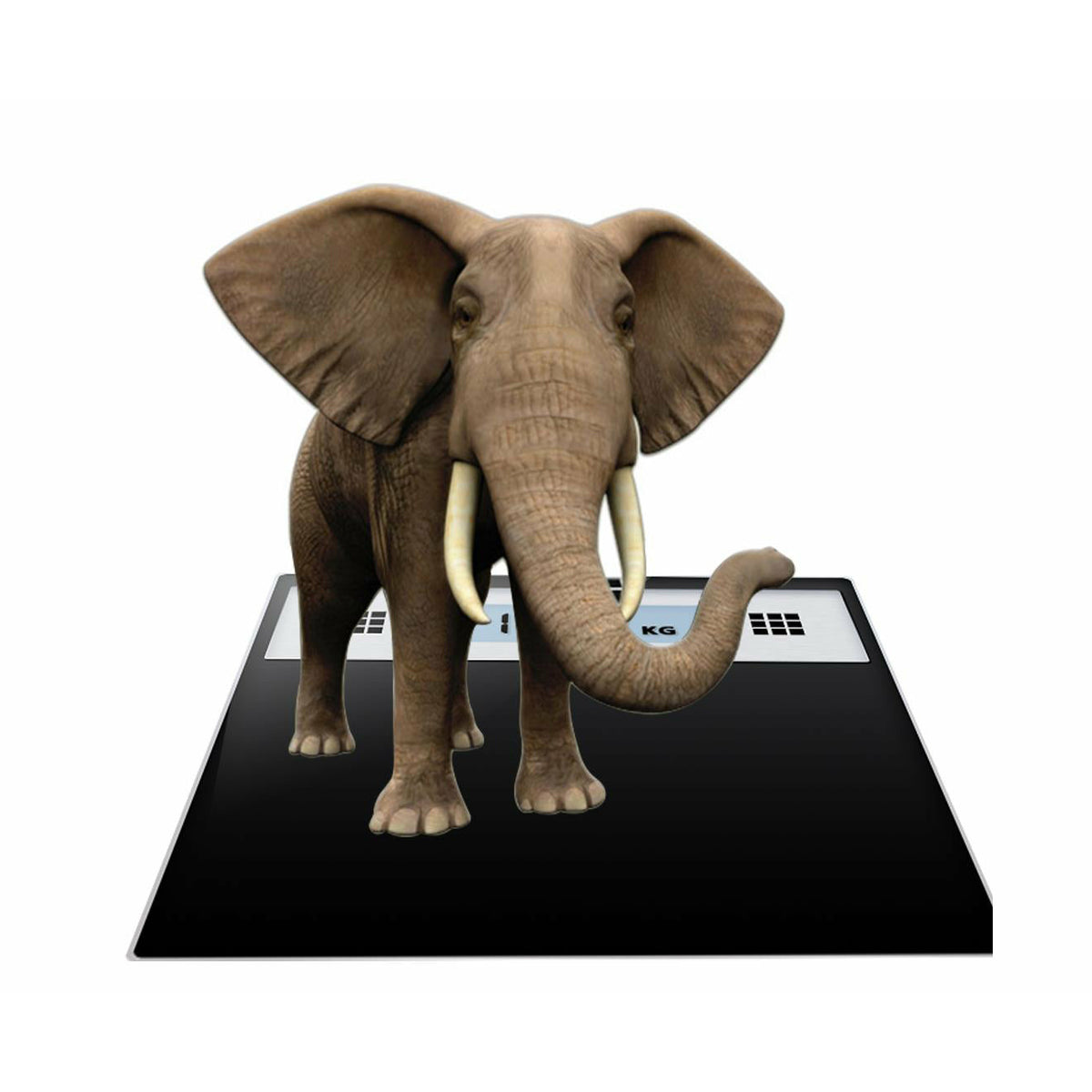 Soga 2 X 180kg Electronic Talking Scale Weight Fitness Glass Bathroom Scale Lcd Display Stainless