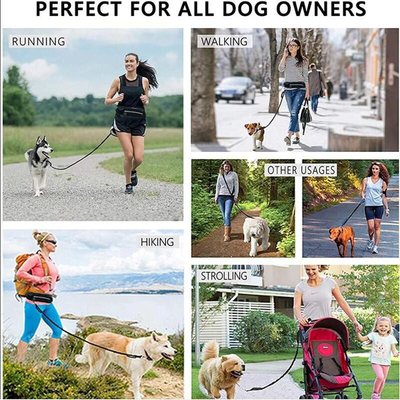 Soga 2 X Black Adjustable Hands Free Pet Leash Bag Dog Lead Walking Running Jogging Pet Essentials