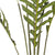 Soga 2 X 240cm Artificial Green Rogue Hares Foot Fern Tree Fake Tropical Indoor Plant Home Office Decor