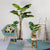 Soga 160cm Green Artificial Indoor Turtle Back Tree Fake Fern Plant Decorative