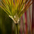 Soga 150cm Purple Red Artificial Indoor Potted Papyrus Plant Tree Fake Simulation Decorative